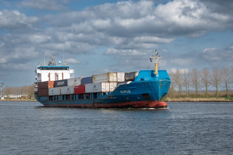 What Businesses Experienced After Choosing King of Freight